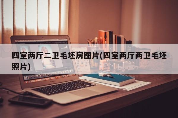 四室两厅二卫毛坯房图片(四室两厅两卫毛坯照片)