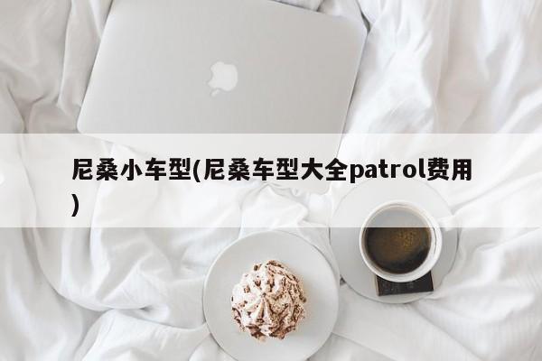 尼桑小车型(尼桑车型大全patrol费用)