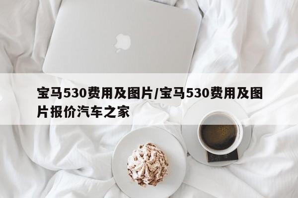 宝马530费用及图片/宝马530费用及图片报价汽车之家