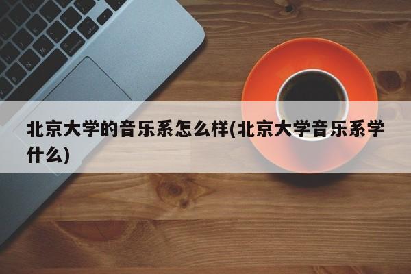 北京大学的音乐系怎么样(北京大学音乐系学什么)