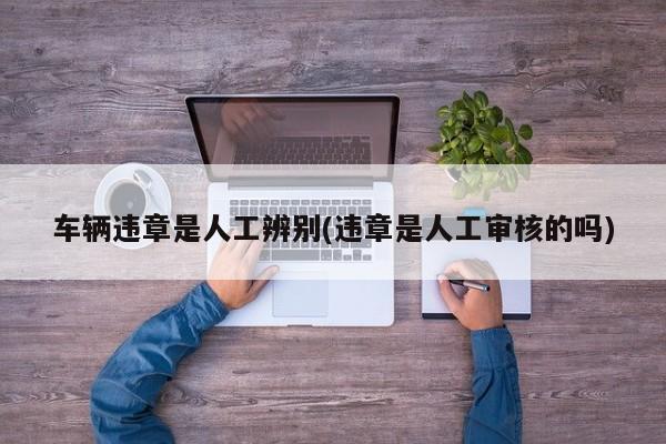 车辆违章是人工辨别(违章是人工审核的吗)