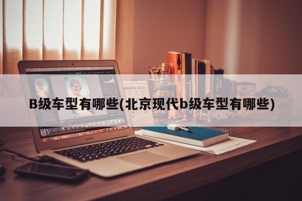 B级车型有哪些(北京现代b级车型有哪些)