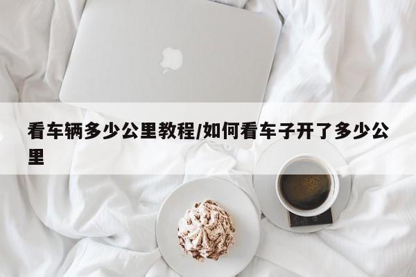看车辆多少公里教程/如何看车子开了多少公里