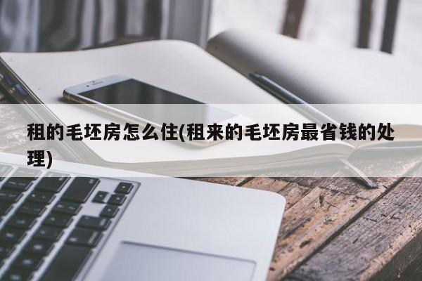 租的毛坯房怎么住(租来的毛坯房最省钱的处理)