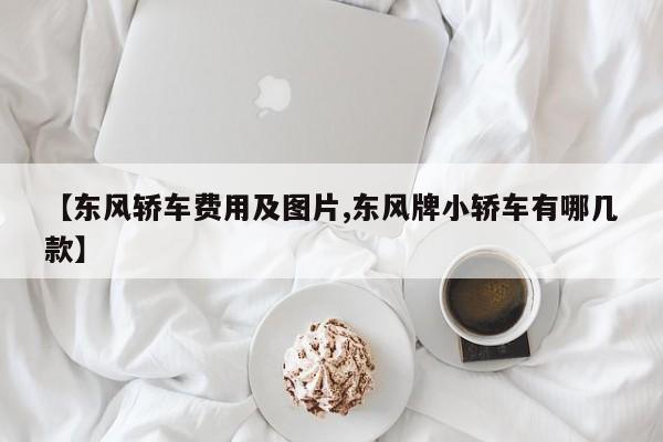 【东风轿车费用及图片,东风牌小轿车有哪几款】
