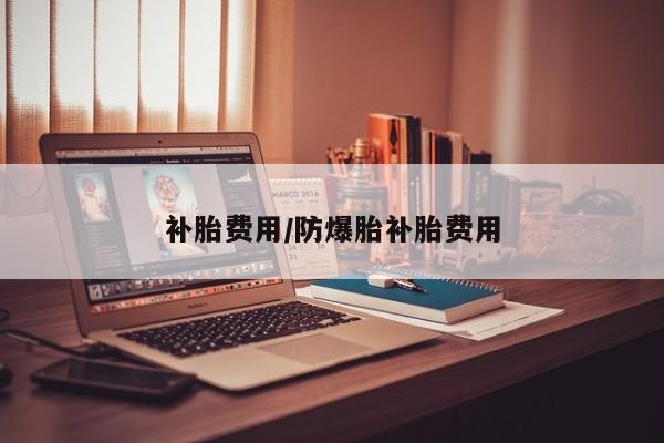 补胎费用/防爆胎补胎费用