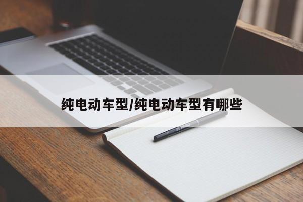 纯电动车型/纯电动车型有哪些
