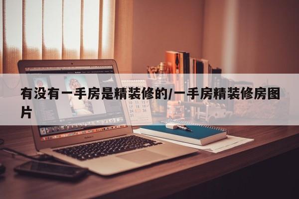 有没有一手房是精装修的/一手房精装修房图片