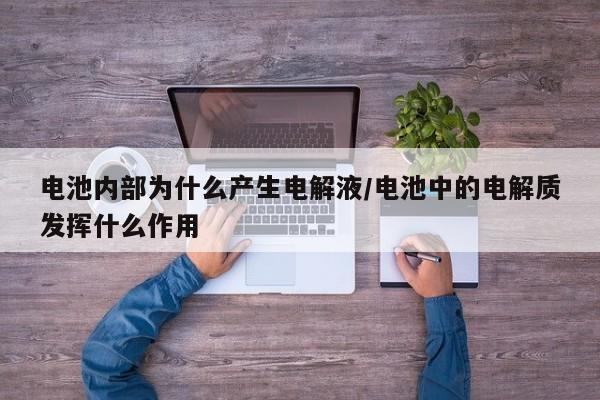 电池内部为什么产生电解液/电池中的电解质发挥什么作用