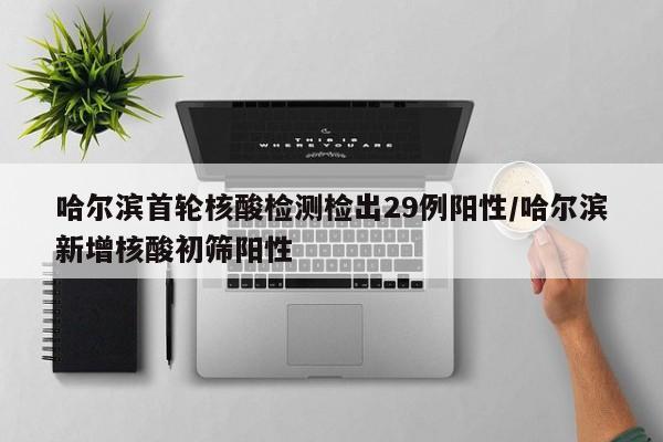 哈尔滨首轮核酸检测检出29例阳性/哈尔滨新增核酸初筛阳性