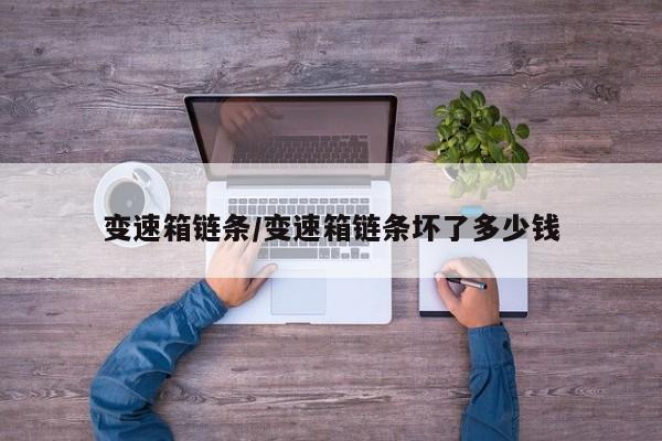 变速箱链条/变速箱链条坏了多少钱