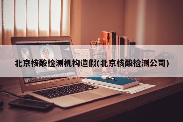 北京核酸检测机构造假(北京核酸检测公司)