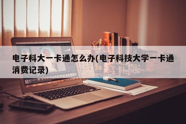 电子科大一卡通怎么办(电子科技大学一卡通消费记录)