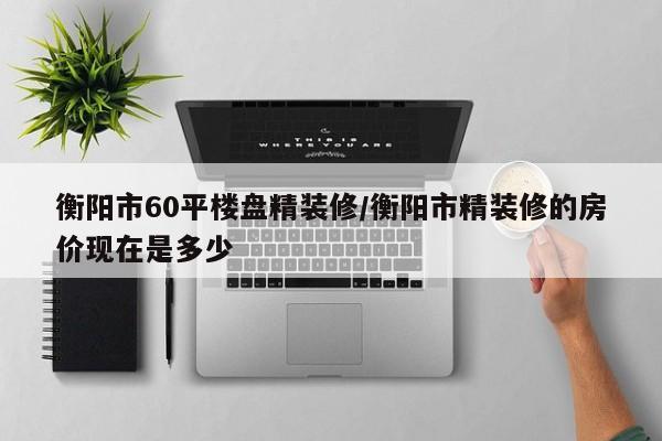 衡阳市60平楼盘精装修/衡阳市精装修的房价现在是多少