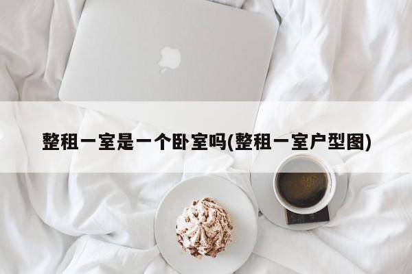整租一室是一个卧室吗(整租一室户型图)