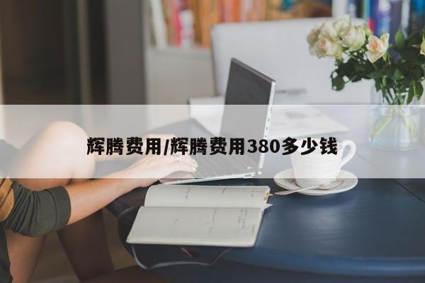 辉腾费用/辉腾费用380多少钱