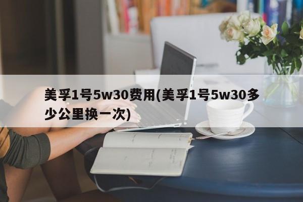 美孚1号5w30费用(美孚1号5w30多少公里换一次)
