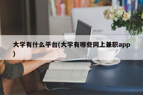 大学有什么平台(大学有哪些网上兼职app)