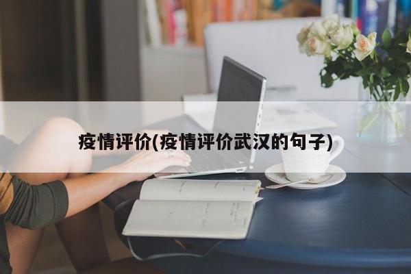 疫情评价(疫情评价武汉的句子)