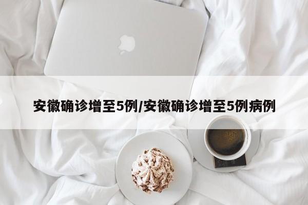 安徽确诊增至5例/安徽确诊增至5例病例