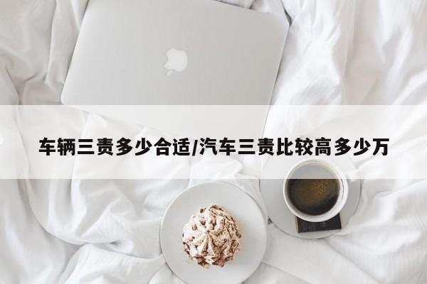 车辆三责多少合适/汽车三责比较高多少万