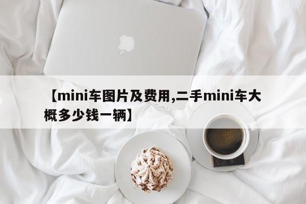 【mini车图片及费用,二手mini车大概多少钱一辆】