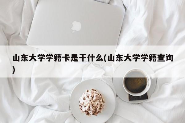 山东大学学籍卡是干什么(山东大学学籍查询)