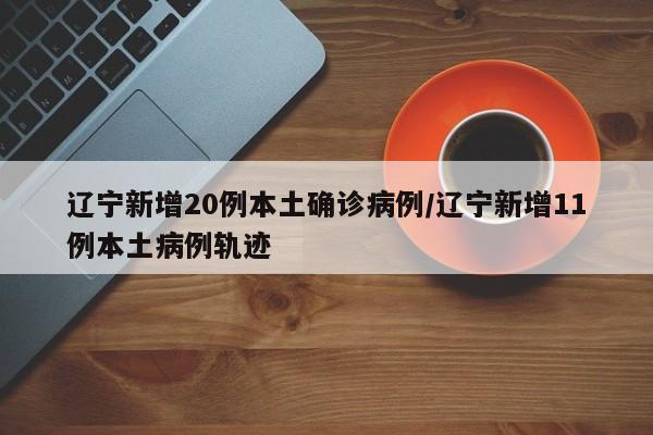 辽宁新增20例本土确诊病例/辽宁新增11例本土病例轨迹