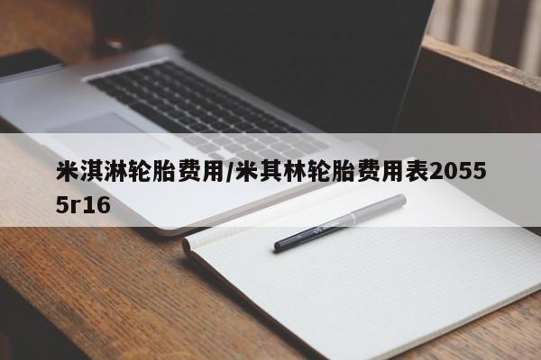 米淇淋轮胎费用/米其林轮胎费用表20555r16