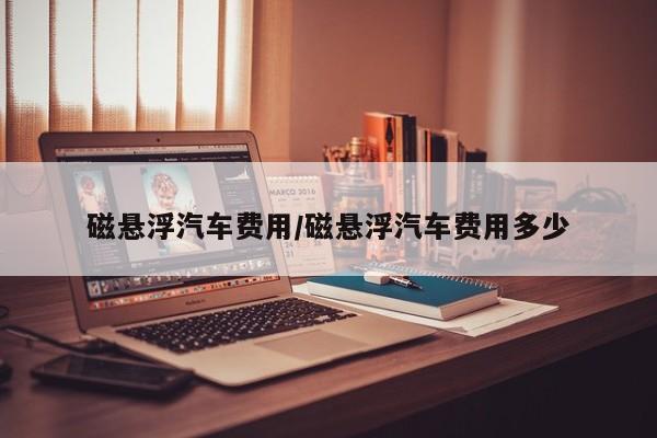 磁悬浮汽车费用/磁悬浮汽车费用多少