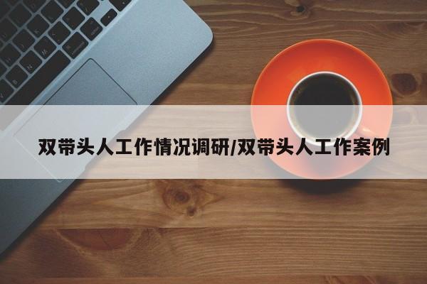 双带头人工作情况调研/双带头人工作案例