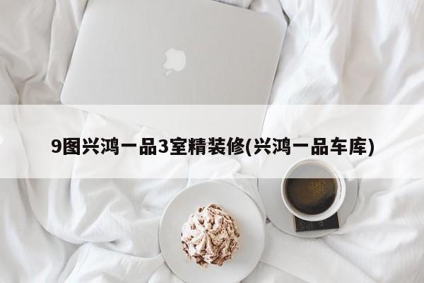 9图兴鸿一品3室精装修(兴鸿一品车库)