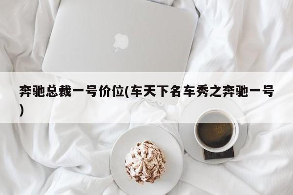 奔驰总裁一号价位(车天下名车秀之奔驰一号)