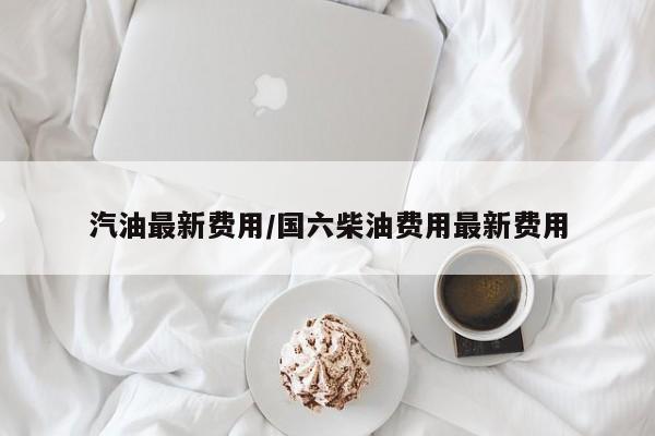 汽油最新费用/国六柴油费用最新费用