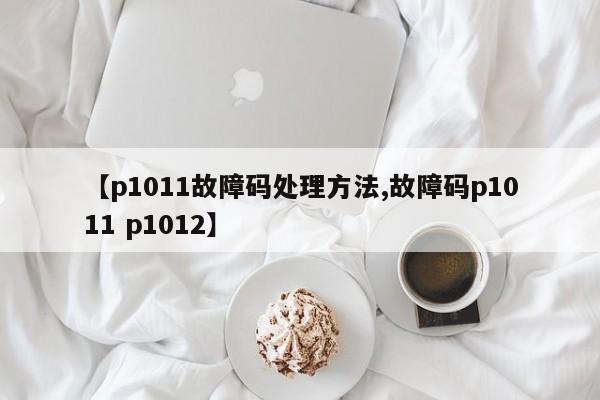 【p1011故障码处理方法,故障码p1011 p1012】
