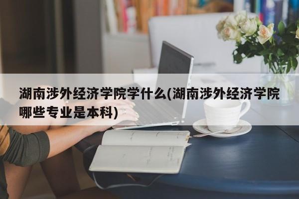 湖南涉外经济学院学什么(湖南涉外经济学院哪些专业是本科)