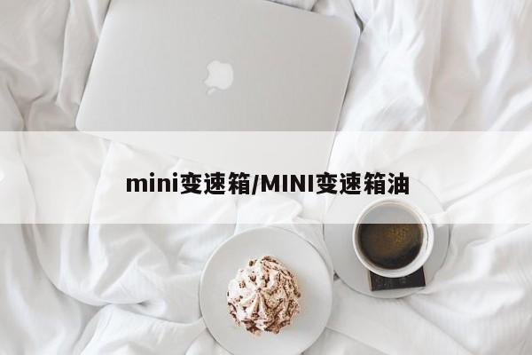 mini变速箱/MINI变速箱油