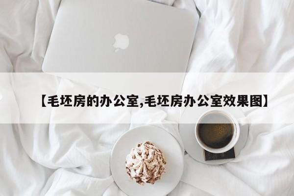 【毛坯房的办公室,毛坯房办公室效果图】