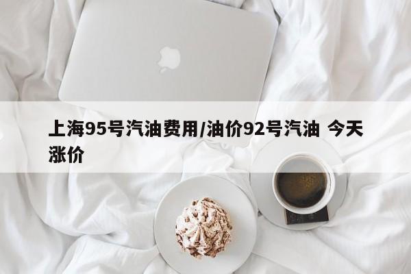 上海95号汽油费用/油价92号汽油 今天涨价