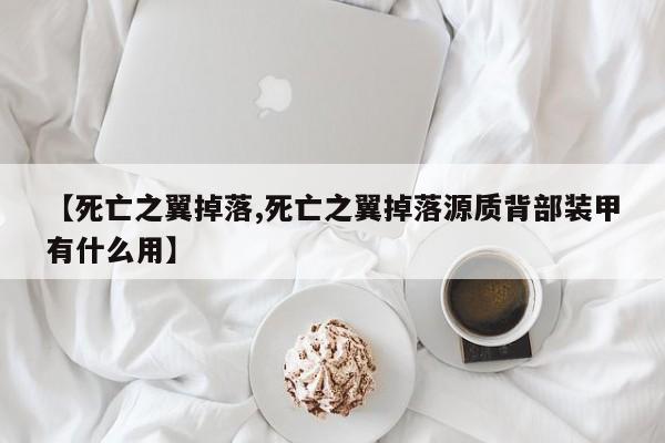 【死亡之翼掉落,死亡之翼掉落源质背部装甲有什么用】