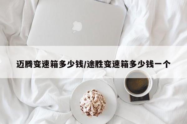 迈腾变速箱多少钱/途胜变速箱多少钱一个