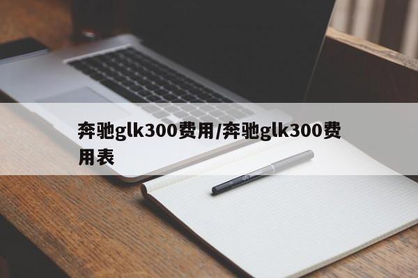 奔驰glk300费用/奔驰glk300费用表