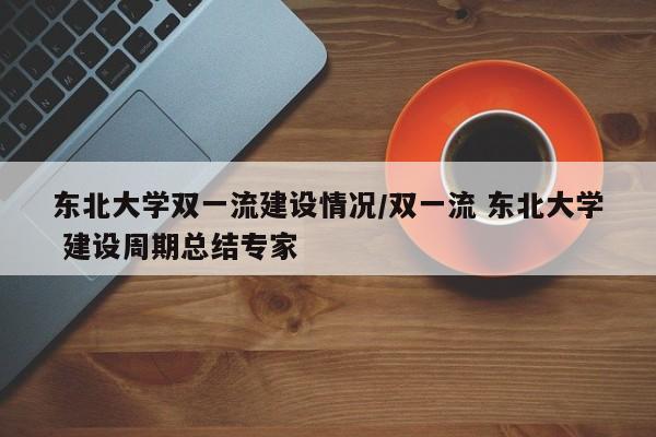 东北大学双一流建设情况/双一流 东北大学 建设周期总结专家