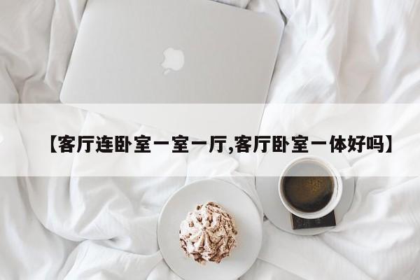 【客厅连卧室一室一厅,客厅卧室一体好吗】