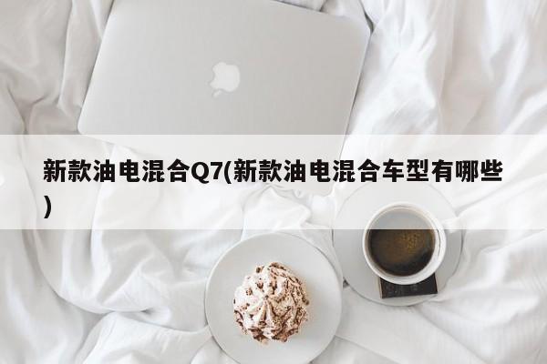 新款油电混合Q7(新款油电混合车型有哪些)