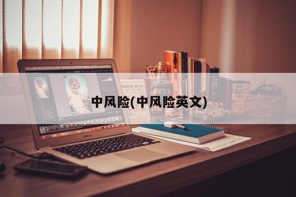中风险(中风险英文)