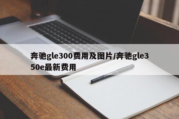 奔驰gle300费用及图片/奔驰gle350e最新费用