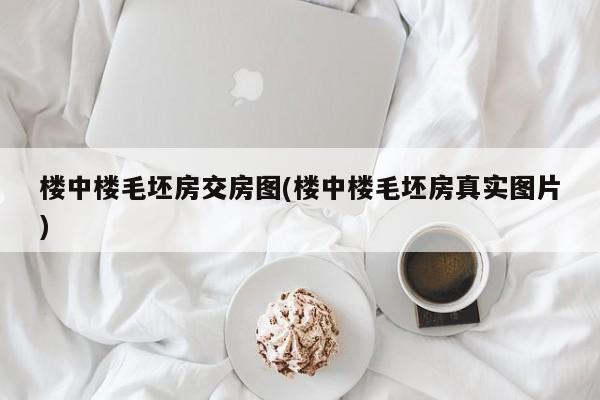 楼中楼毛坯房交房图(楼中楼毛坯房真实图片)